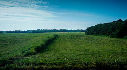 Netherlands, South Holland, a large green field with trees in the background