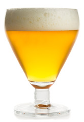 Glass of lager beer on a white background