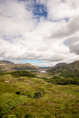 Fototapeta na wymiar The beautiful scenery of Ladies View in Killarney, co. Kerry, Ireland