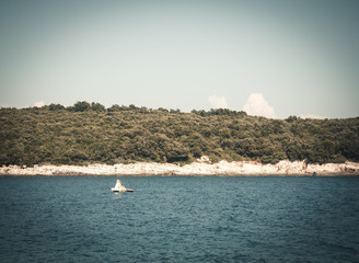 Obraz premium Tretboot in Kroatien, Istrien