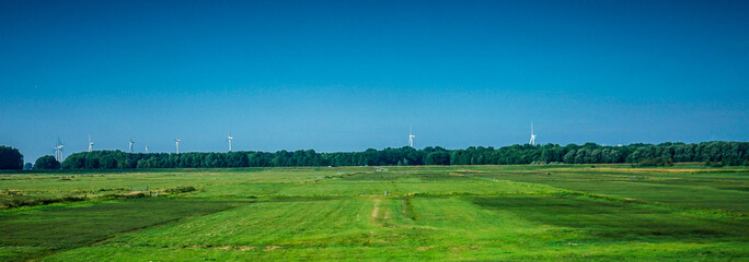 Netherlands, South Holland, a large green field with trees in the background