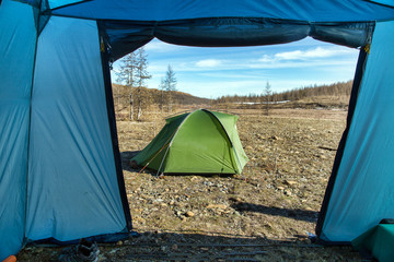 Tourist tents in the forest. View from the tent