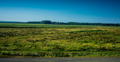 Fototapeta premium Netherlands, South Holland, a large green field with trees in the background
