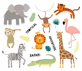Foto op Plexiglas Set van schattige grappige dieren flamingo, luiaard, krokodil, olifant, giraf, leeuw, tijger, aap, zebra. Geïsoleerde objecten op wit. Vector illustratie Scandinavische stijl ontwerp Concept kids print © Maria Skrigan