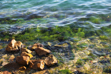 Rocks on the seashore