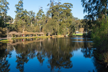 Fototapeta na wymiar Gallipoli Park in central Marysville in Murrindindi Shire in Victoria.