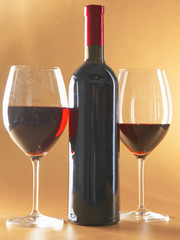 bottle of wine and glass on the table