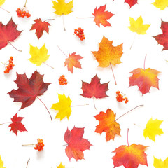 Naklejka na ściany i meble Autumn yellow, orange and red maple leaves isolated on white background, top view, flat layout. Creative seamless pattern. Autumn background.