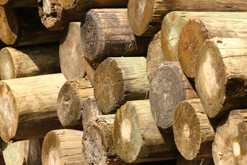 logs of wood piled up