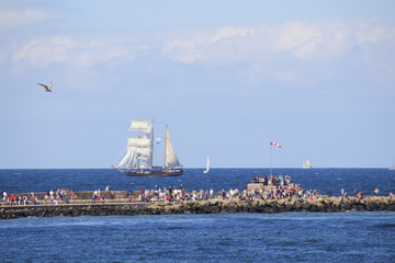 Hanse Sail, Rostock, Warnemünde, Mole, Großsegler, Möwe, Leute