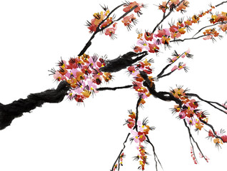 A branch of a blossoming tree. Pink flowers of sakura . Watercolor and ink illustration in style sumi-e, u-sin. Oriental traditional painting.  Isolated on white background.