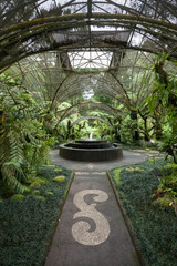 Greenhouse with fountain, green plants and glass roof