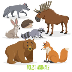 Cartoon forest animals set. Wolf, hedgehog, moose, hare, raccoon, bear and fox. Funny comic creature collection. Vector educational illstrations.