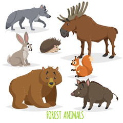 Cartoon forest animals set. Wolf, hedgehog, moose, hare, squirrel, bear and wild boar. Funny comic creature collection. Vector educational illstrations.