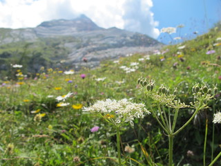 wanderung zum watzmann