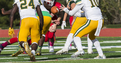 Naklejka premium Quarterback receiving the ball in the shot gun