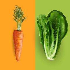 Carrot and lettuce illustration