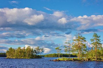 Obraz premium An island with pines on a lake