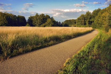 Spaziergang in der Natur