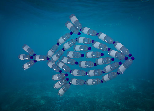 Fish made with plastic bottles, pollution that kill seasid