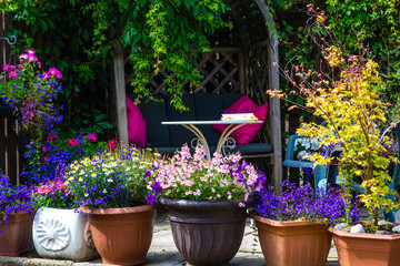 Beautiful, Summer garden with amazing blossom in big flowerpots