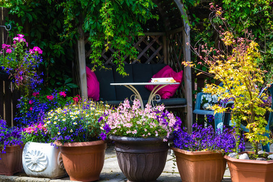 Fototapeta Beautiful, Summer garden with amazing blossom in big flowerpots