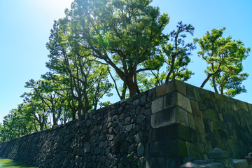 風景物語