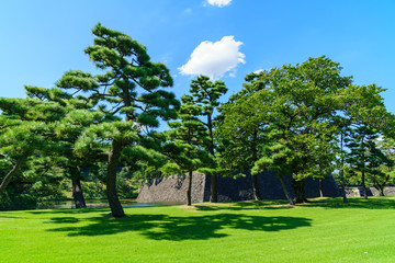 風景物語