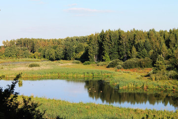 Summer evening view in Loschitsa Minsk from Belarus.  Sunrise in Loshitsa park, Europe