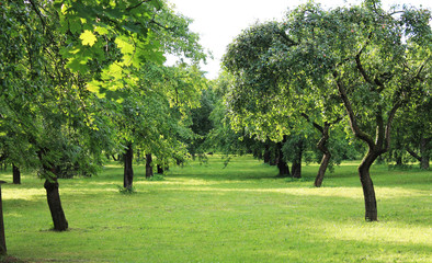 Obraz premium Minsk. Belarus. A wonderful landscape in Losšice.