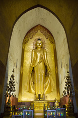 Obraz premium A standing Buddha statue in gold color