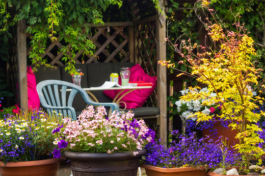 Fototapeta Beautiful, Summer garden with amazing blossom in big flowerpots