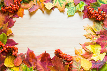 Naklejka na ściany i meble Autumn leaves and rowanberry as border on wooden board. Copy space. Fall concept.