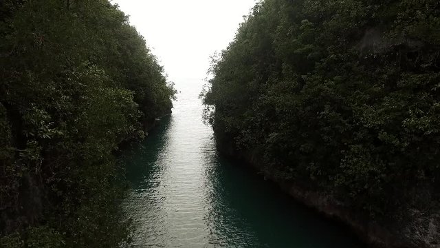 A drone shot of the famous Bojo River in Cebu