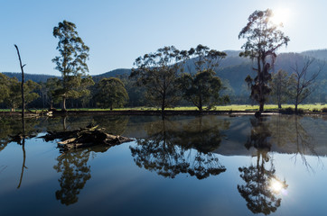 Farm dam outside Marysville in Victoria, Australia at dawn