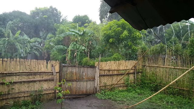 Heavy rain shower in backyard of locals on Philippines