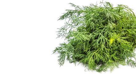 Bunch of dill on white. Space for text.