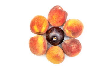 Peaches with plum on white. Top view.