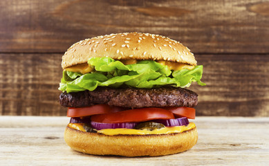 burger against the background of a tree