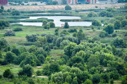 Aerial view of the Vacaresti Nature Park in Bucharest