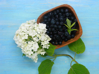 Healthy eating concept. Blueberry with white flower on blue table