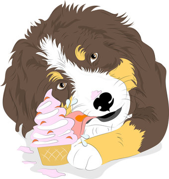 cane che mangia gelato