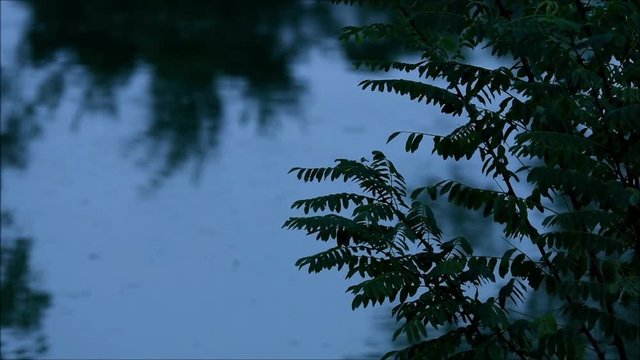 idrovia di Vigonovo