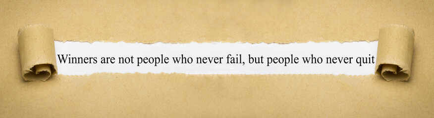 Winners are not people who never fail, but people who never quit
