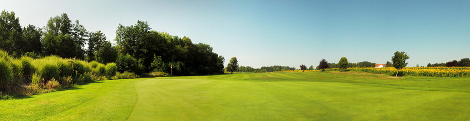 Grüne Golfplatz Wiese am Sonnenblumenfeld - Panorama im Sommer