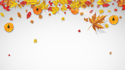 Autumn background with maple leaves and pumpkin. Fall background.