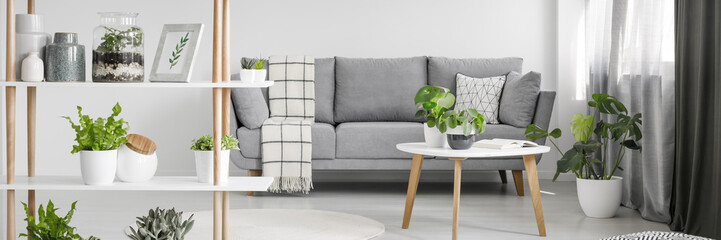 Nordic style sitting room interior in real photo with fresh plants, grey sofa with pillow and blanket and wooden rack with decor © Photographee.eu