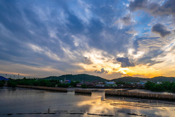 Mangrove forest and city