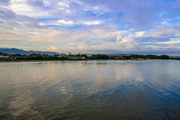 Mangrove forest and city