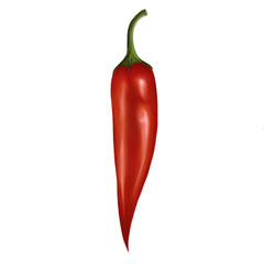 illustration with realistic red Chile pepper on a white background